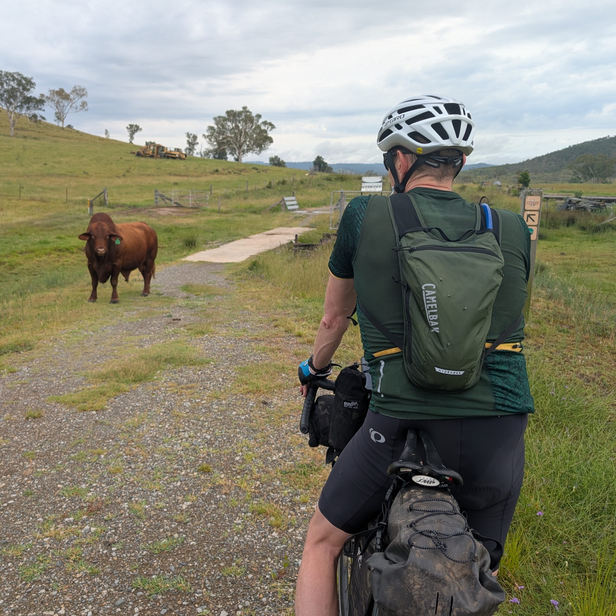 A Rail Trail Christmas